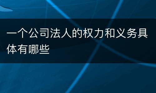 一个公司法人的权力和义务具体有哪些