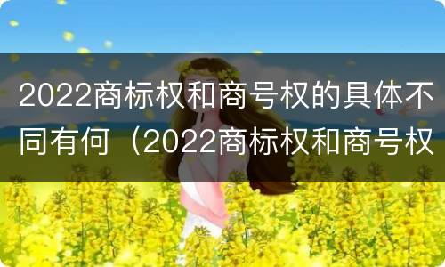 2022商标权和商号权的具体不同有何（2022商标权和商号权的具体不同有何意义）