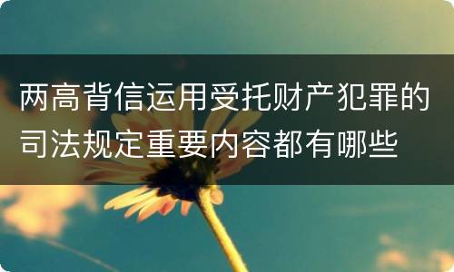 两高背信运用受托财产犯罪的司法规定重要内容都有哪些