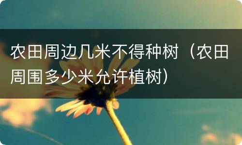 农田周边几米不得种树（农田周围多少米允许植树）