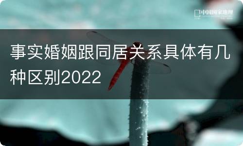 事实婚姻跟同居关系具体有几种区别2022