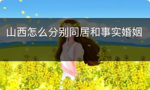 山西怎么分别同居和事实婚姻