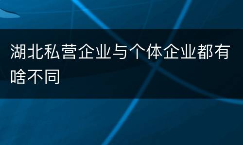 湖北私营企业与个体企业都有啥不同