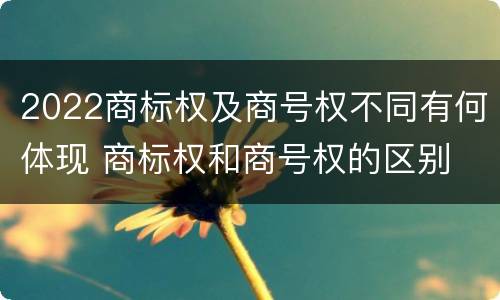 2022商标权及商号权不同有何体现 商标权和商号权的区别