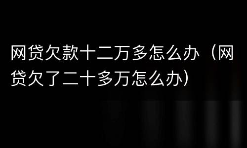 网贷欠款十二万多怎么办（网贷欠了二十多万怎么办）