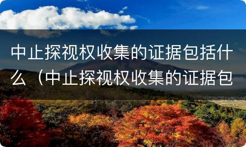 中止探视权收集的证据包括什么（中止探视权收集的证据包括什么）