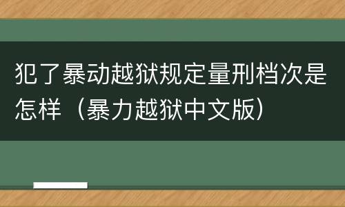 犯了暴动越狱规定量刑档次是怎样（暴力越狱中文版）