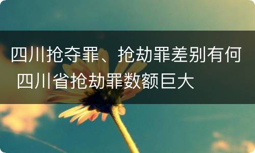 四川抢夺罪、抢劫罪差别有何 四川省抢劫罪数额巨大