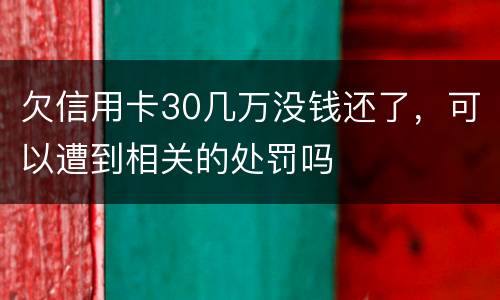 欠信用卡30几万没钱还了，可以遭到相关的处罚吗