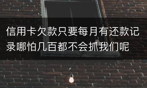 信用卡欠款只要每月有还款记录哪怕几百都不会抓我们呢