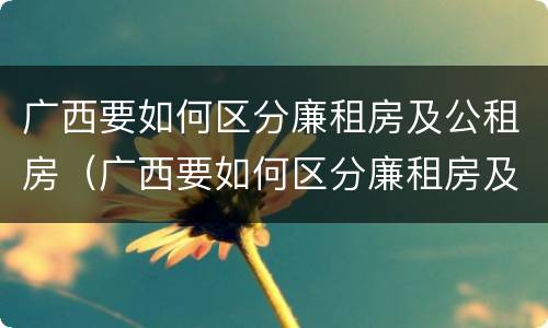 广西要如何区分廉租房及公租房（广西要如何区分廉租房及公租房的区别）