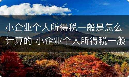 小企业个人所得税一般是怎么计算的 小企业个人所得税一般是怎么计算的呢