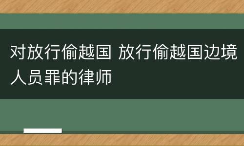 对放行偷越国 放行偷越国边境人员罪的律师