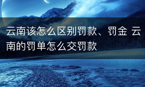 云南该怎么区别罚款、罚金 云南的罚单怎么交罚款