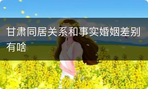 甘肃同居关系和事实婚姻差别有啥