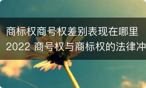 商标权商号权差别表现在哪里2022 商号权与商标权的法律冲突与解决