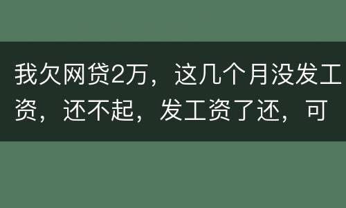 我欠网贷2万，这几个月没发工资，还不起，发工资了还，可以吗