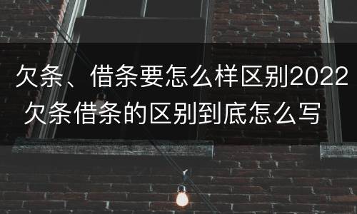 欠条、借条要怎么样区别2022 欠条借条的区别到底怎么写