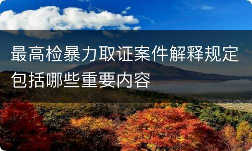 最高检暴力取证案件解释规定包括哪些重要内容