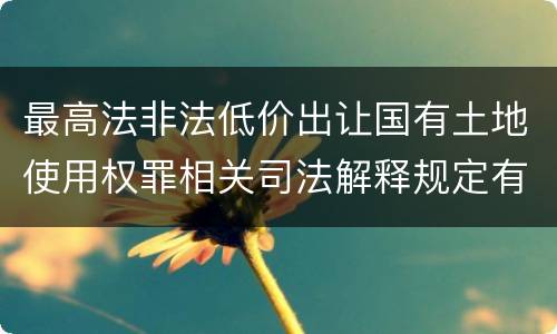 最高法非法低价出让国有土地使用权罪相关司法解释规定有哪些主要内容