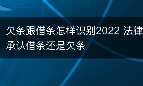 欠条跟借条怎样识别2022 法律承认借条还是欠条