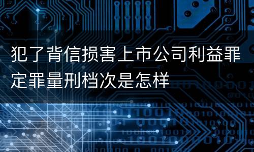 犯了背信损害上市公司利益罪定罪量刑档次是怎样