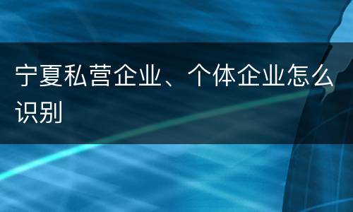 宁夏私营企业、个体企业怎么识别