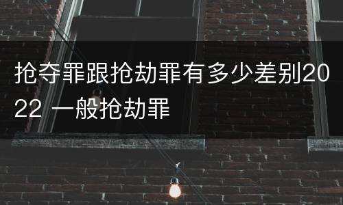 抢夺罪跟抢劫罪有多少差别2022 一般抢劫罪