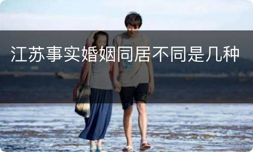 江苏事实婚姻同居不同是几种