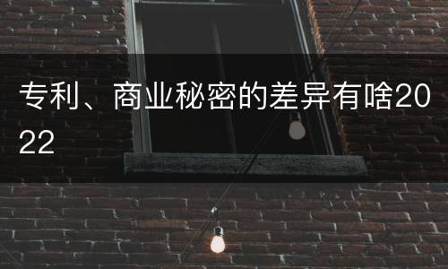 专利、商业秘密的差异有啥2022