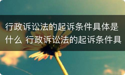 行政诉讼法的起诉条件具体是什么 行政诉讼法的起诉条件具体是什么