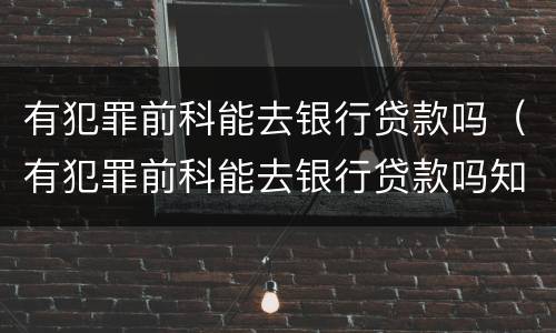 有犯罪前科能去银行贷款吗（有犯罪前科能去银行贷款吗知乎）