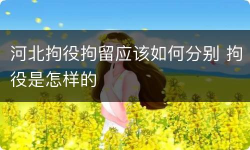 河北拘役拘留应该如何分别 拘役是怎样的