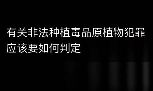 有关非法种植毒品原植物犯罪应该要如何判定