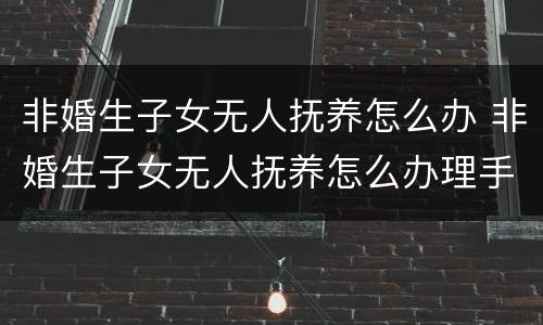 非婚生子女无人抚养怎么办 非婚生子女无人抚养怎么办理手续