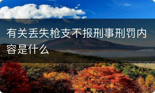 有关丢失枪支不报刑事刑罚内容是什么