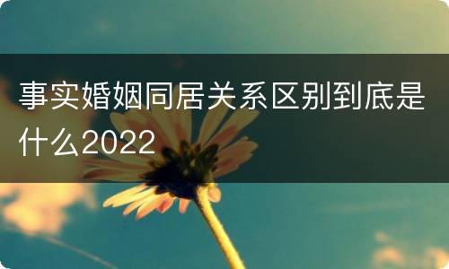 事实婚姻同居关系区别到底是什么2022