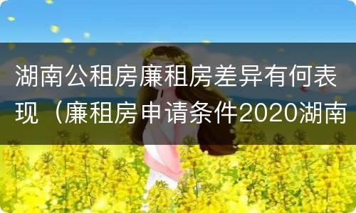 湖南公租房廉租房差异有何表现（廉租房申请条件2020湖南）