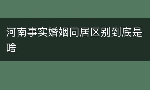 河南事实婚姻同居区别到底是啥