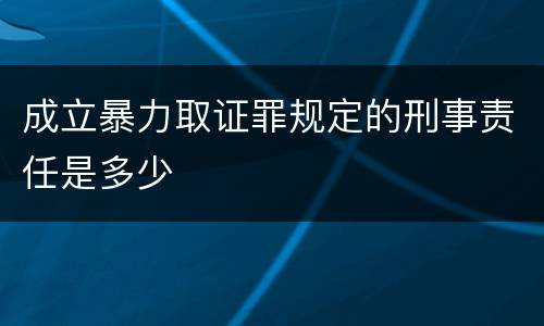 成立暴力取证罪规定的刑事责任是多少