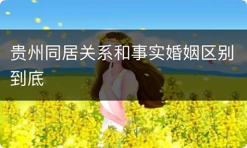 贵州同居关系和事实婚姻区别到底