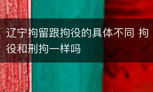 辽宁拘留跟拘役的具体不同 拘役和刑拘一样吗