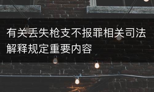 有关丢失枪支不报罪相关司法解释规定重要内容