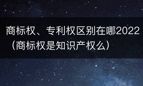 商标权、专利权区别在哪2022（商标权是知识产权么）