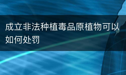 成立非法种植毒品原植物可以如何处罚