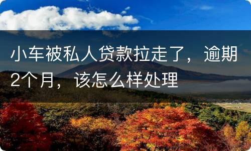 小车被私人贷款拉走了，逾期2个月，该怎么样处理