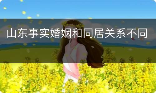 山东事实婚姻和同居关系不同