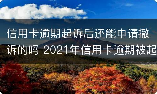 信用卡逾期起诉后还能申请撤诉的吗 2021年信用卡逾期被起诉怎么办