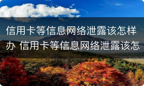 信用卡等信息网络泄露该怎样办 信用卡等信息网络泄露该怎样办理