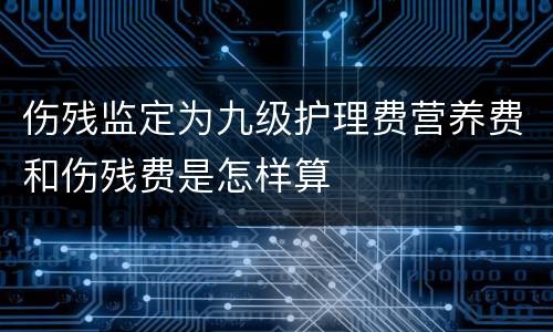 伤残监定为九级护理费营养费和伤残费是怎样算